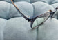 Anti Blue Light Glasses - Malibu Eco
