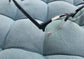 Anti Blue Light Glasses - Golf