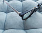 Anti Blue Light Glasses | Computer Glasses | Screen Glasses | Blue light blockers | Blue Light Blocking Glasses | Anti Blue Light Glasses in Egypt |The Best Anti Blue Light Glasses in Egypt | High Quality Computer Glasses in Egypt | شراء نظارة اونلاين فى مصر | نظارة نظر | نظارة قراءة | نظارة حماية | نظارة حفظ نظر | نظارات طبية للرجال | نظارات طبية | نظارات نظر|  نظارات طبية اونلاين | عروض نظارات طبية | نظارات كمبيوتر | نظارات مضادة للضوء الازرق | نظارات كمبيوتر فى مصر | نظارات مضادة للضوء الازرق فى مصر