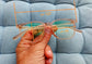 Anti Blue Light Glasses - Ibiza GT